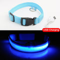 LED Safety Dog Collar