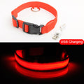 LED Safety Dog Collar