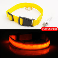 LED Safety Dog Collar